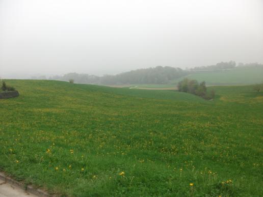 ...hier im Grünen bei Maria-Vesperbild...