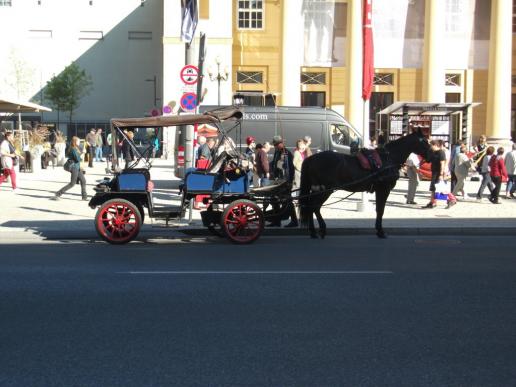 ...Droschke...ähnliches gibt es wie in Wien...